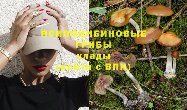 мяу мяу мука Баксан