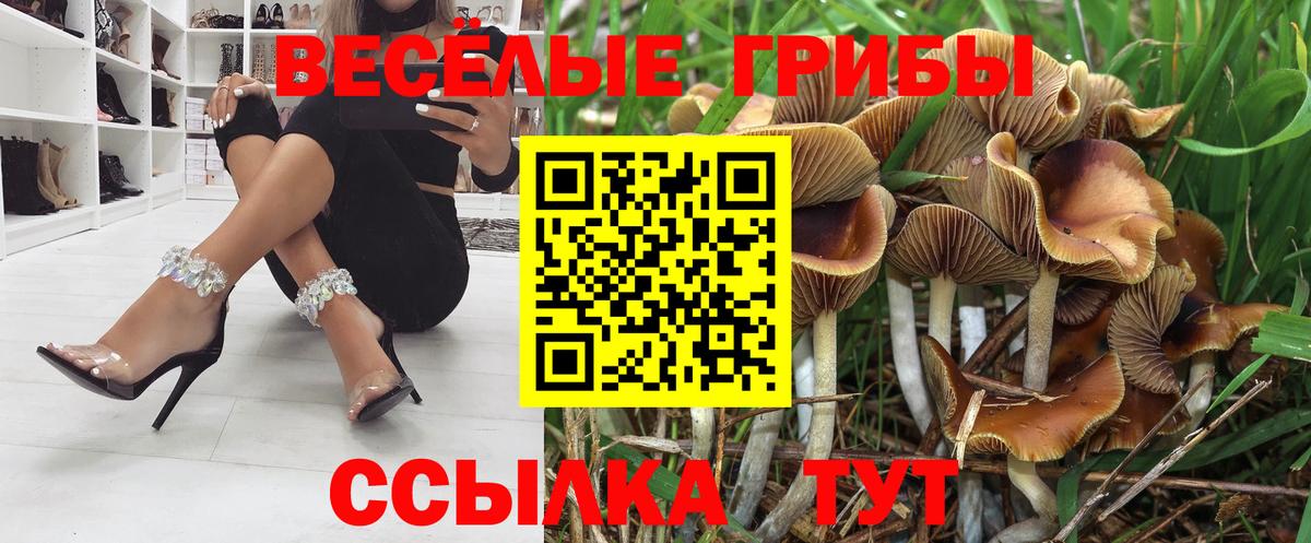 Галлюциногенные грибы GOLDEN TEACHER  Галлюциногенные грибы мицелий  Спасск-Дальний  Вход с VPN 