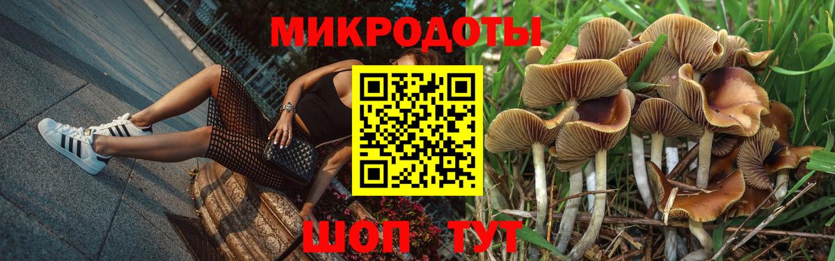 Галлюциногенные грибы мухоморы Спасск-Дальний